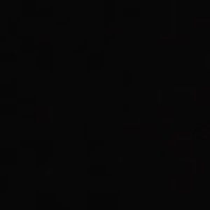 Meet your Posher, Lily